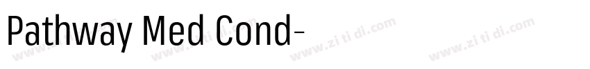 Pathway Med Cond字体转换 Pathway Med Cond字体转换